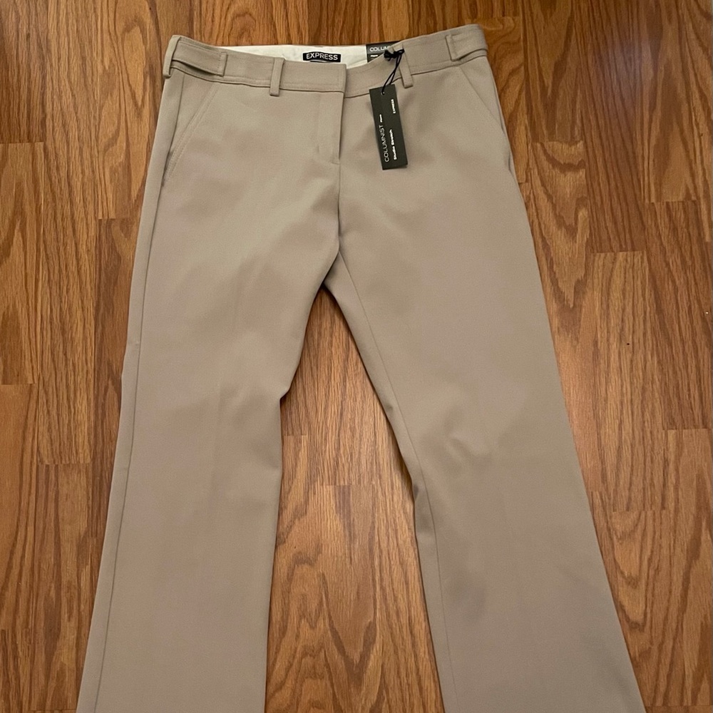 Express Dress Pants